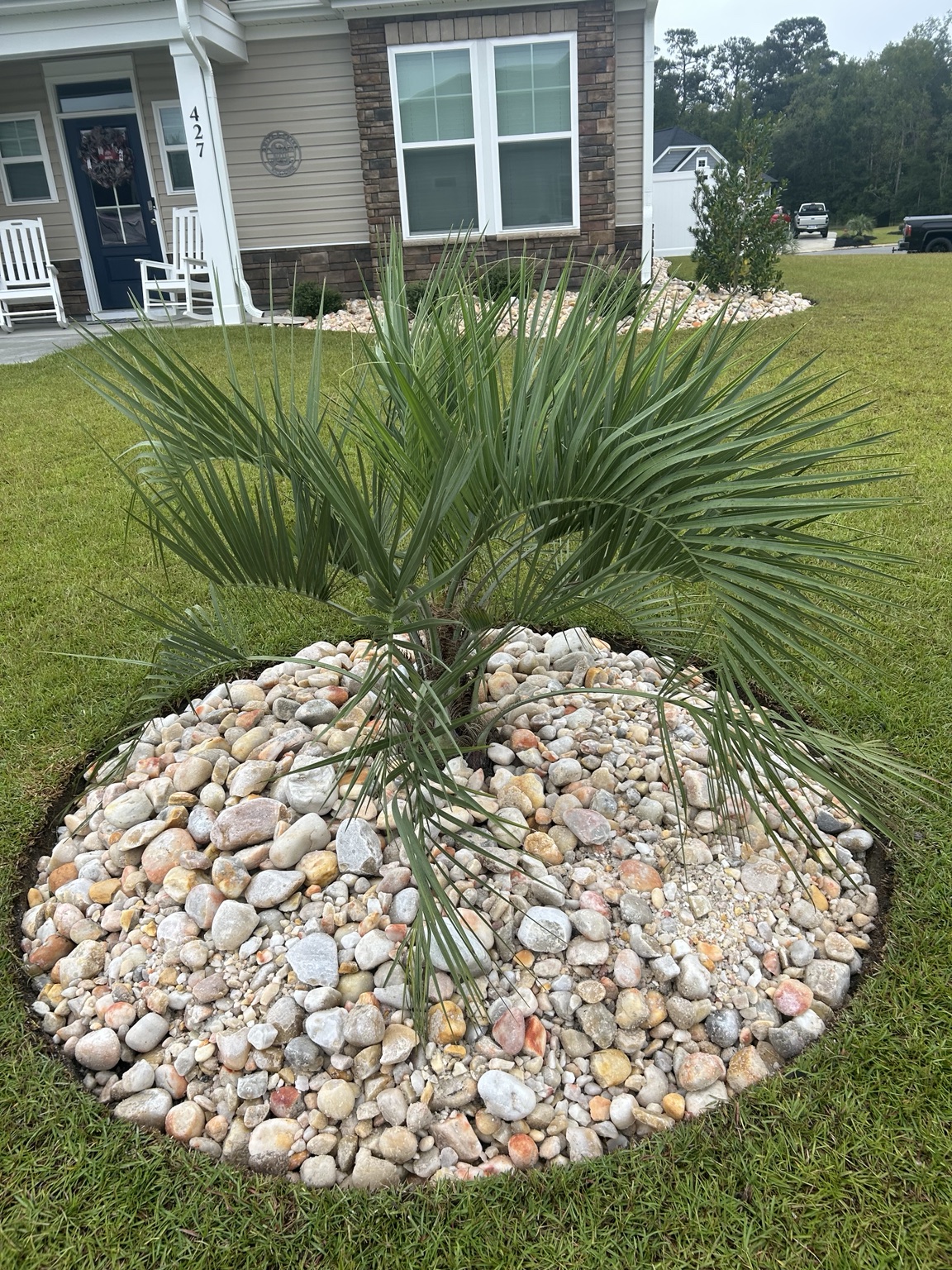 Completed circular landscape bed with 2 to 5 inch Carolina River Rock around a palm