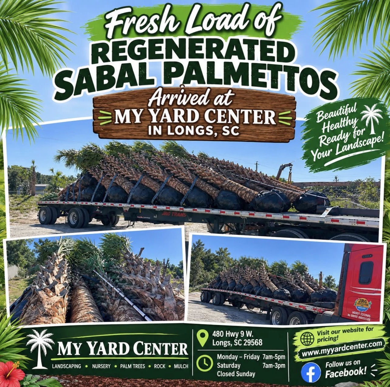 New Load of Regenerated Sabal Palmettos