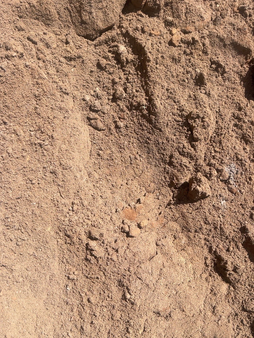 Fill dirt