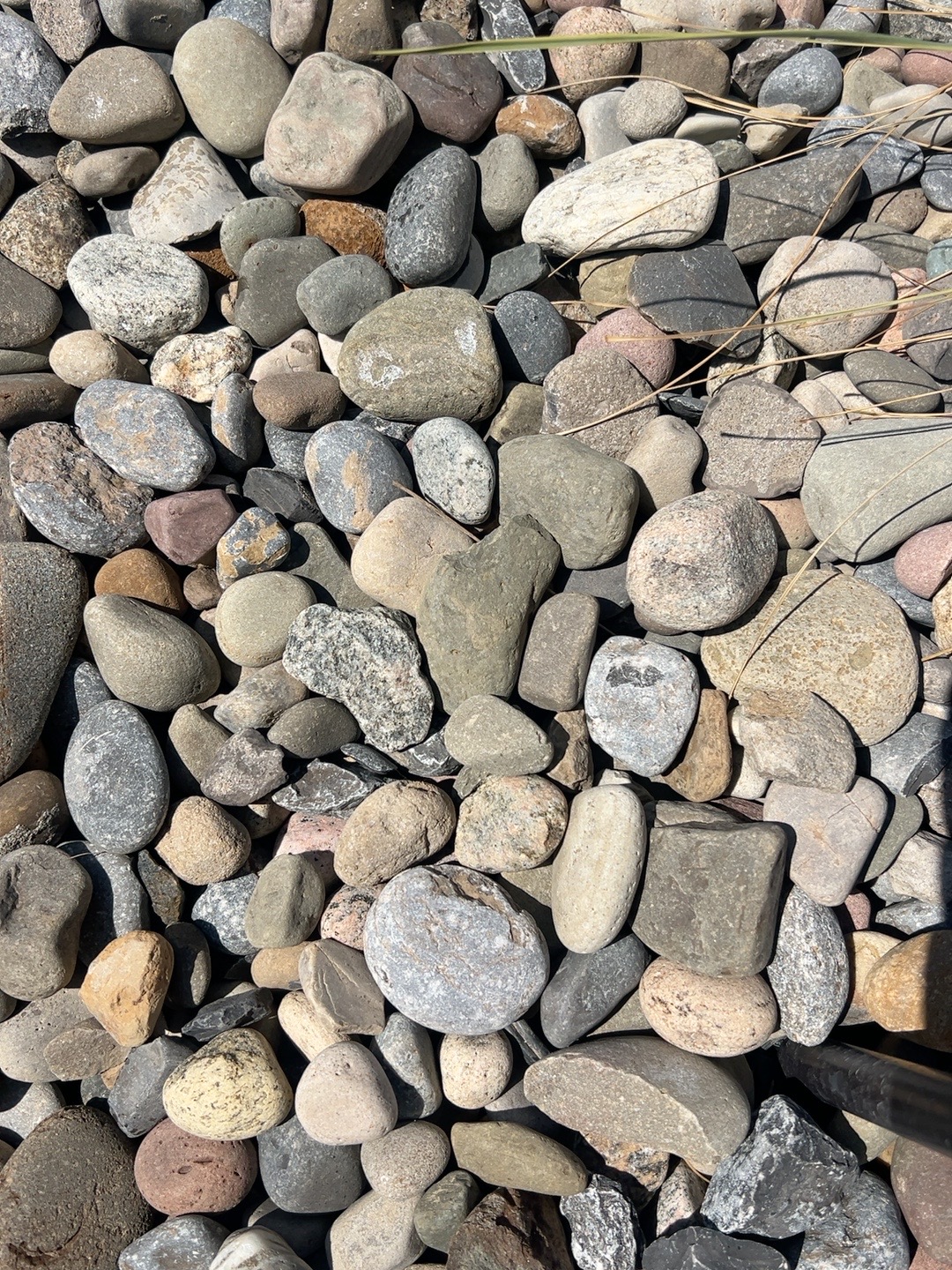 New England River Rock in the 1 to 2 inch size
