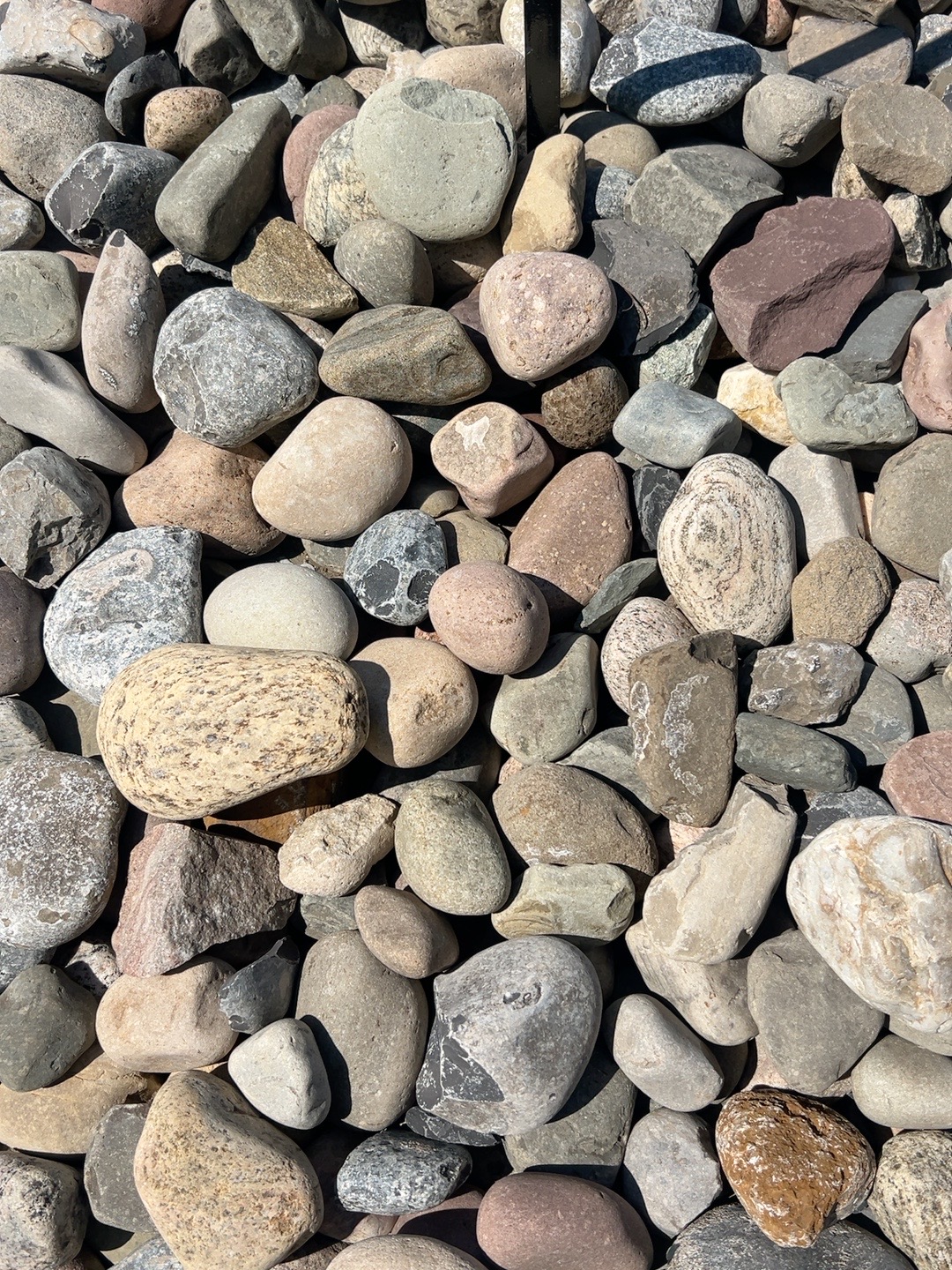 New England River Rock in the 2 to 4 inch size