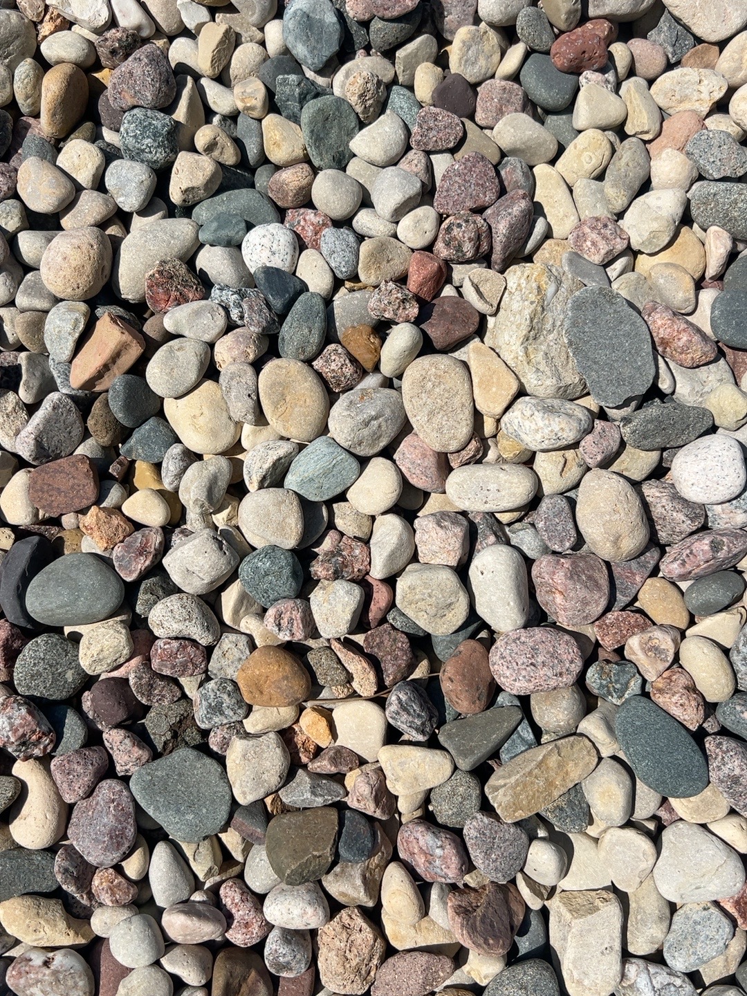 Patriot Mountain River Rock in the 1 to 2 inch size