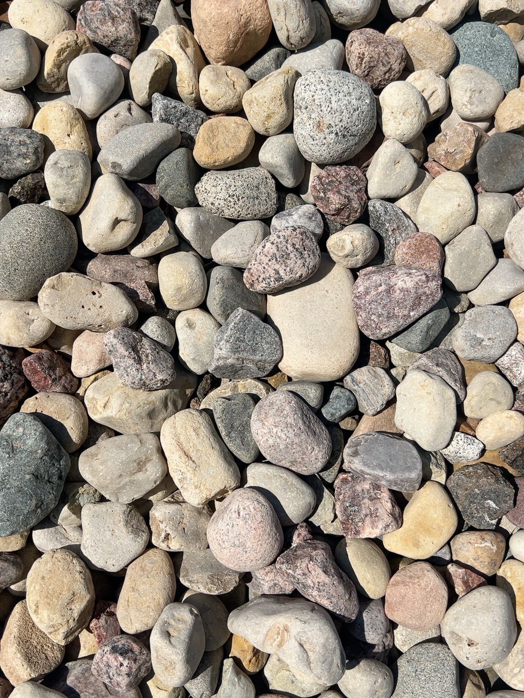 Patriot Mountain River Rock in the 2 to 4 inch size